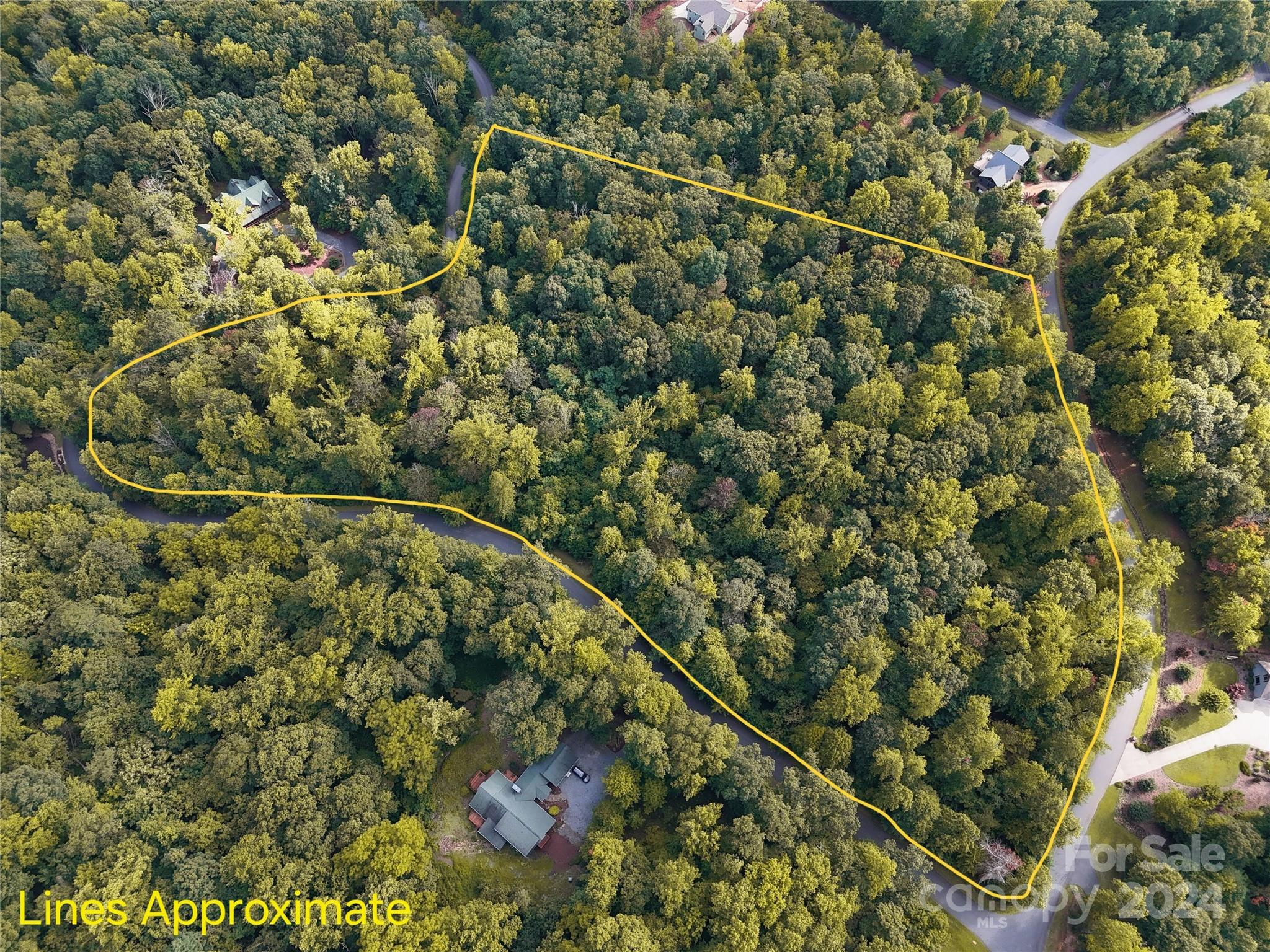 Tbd Matho Trace Lake Lure, NC 28746 - Photo 3 of 30 Gallery Image 3
