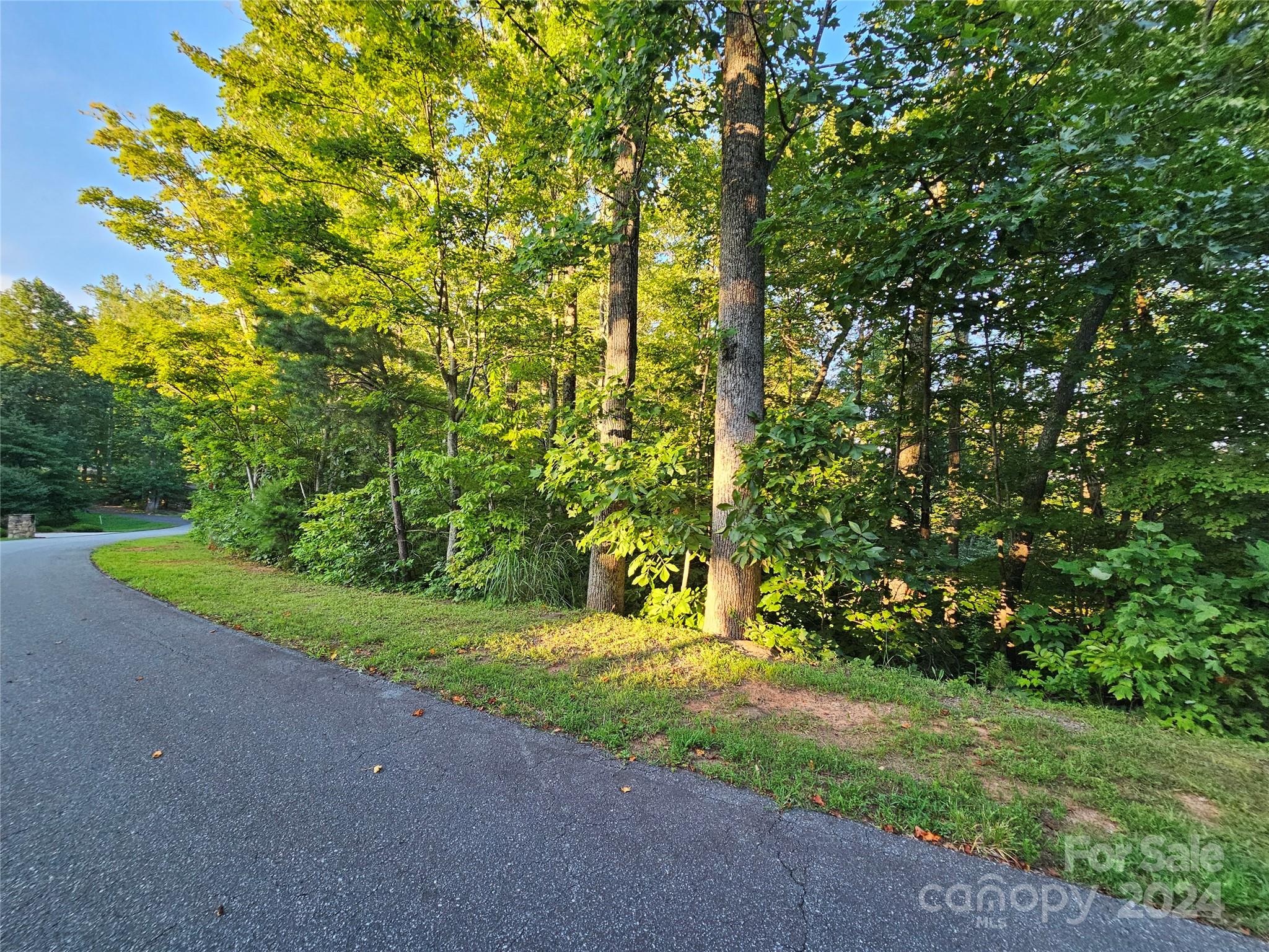 Tbd Matho Trace Lake Lure, NC 28746 - Photo 6 of 30 Gallery Image 6