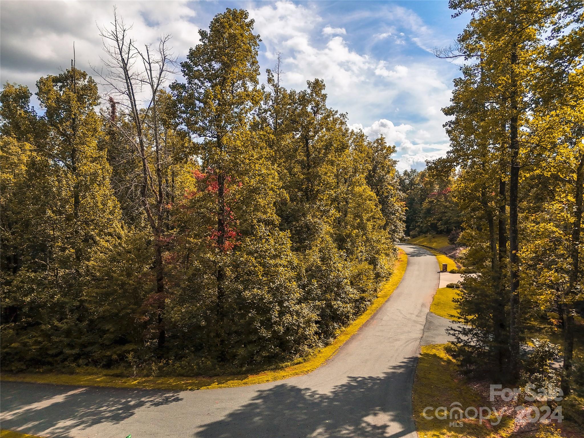 Tbd Matho Trace Lake Lure, NC 28746 - Photo 9 of 30 Gallery Image 9
