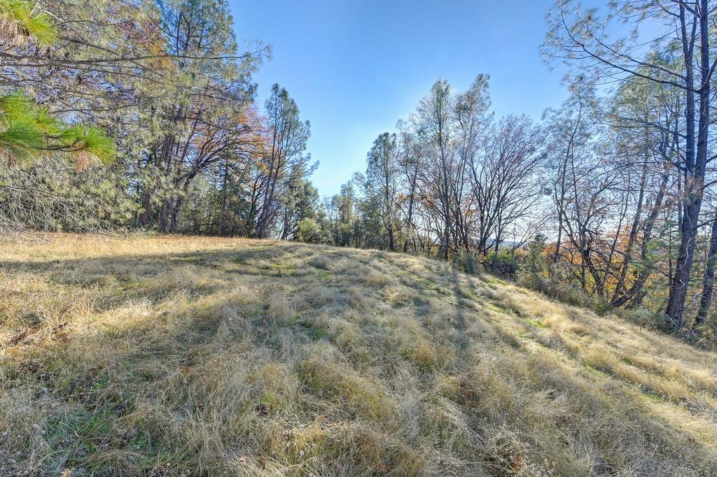 23050 Retherford Road Auburn, CA 95602 - Photo 12 of 39 a view of an outdoor space with yard