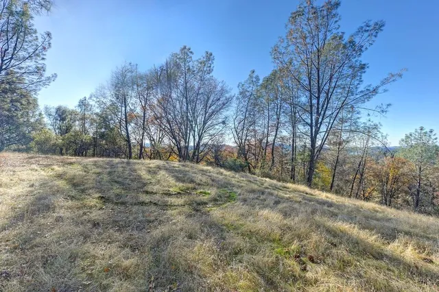 a view of dirt yard with trees