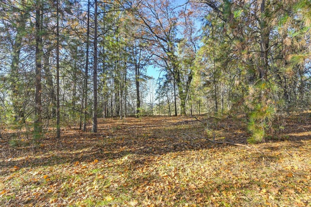 23050 Retherford Road Auburn, CA 95602 - Photo 15 of 39 a view of a yard with trees