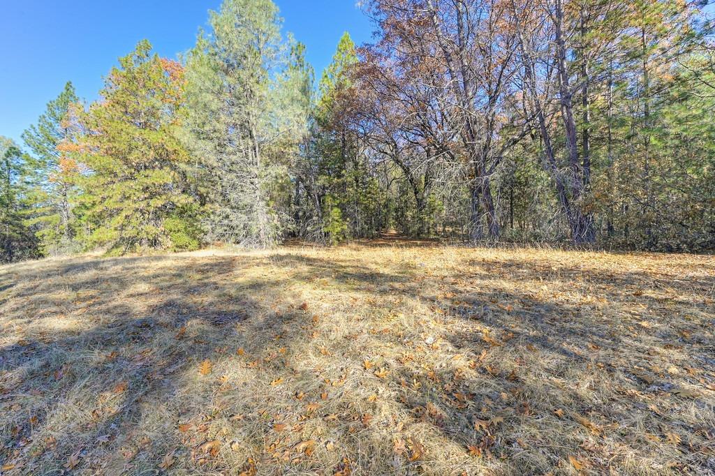 23050 Retherford Road Auburn, CA 95602 - Photo 16 of 39 a view of outdoor space with yard and trees all around