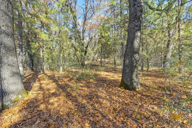 a view of a yard with a tree