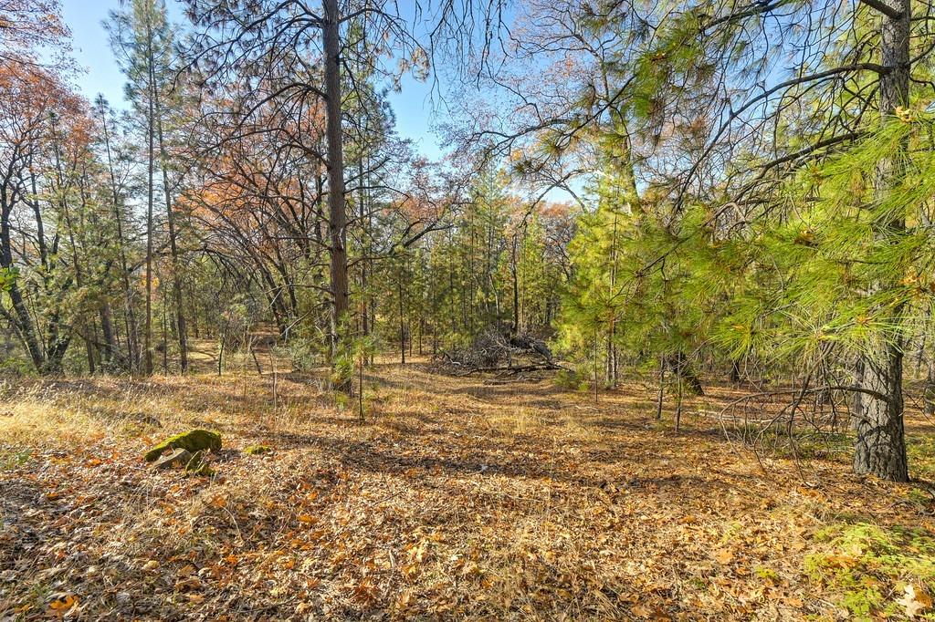 23050 Retherford Road Auburn, CA 95602 - Photo 22 of 39 a view of dirt field with trees in the background
