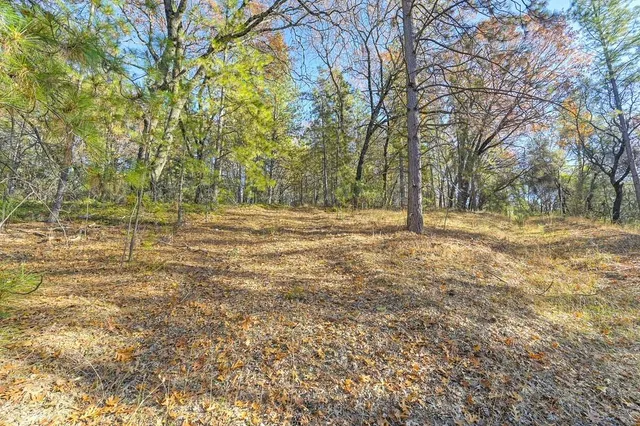 a view of dirt field with trees