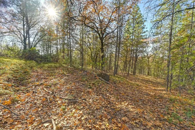 a view of a yard with trees