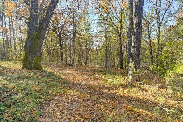 a view of outdoor space with trees