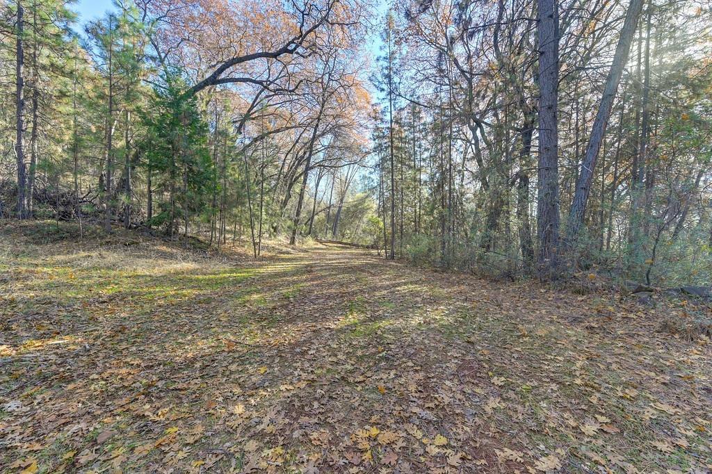 23050 Retherford Road Auburn, CA 95602 - Photo 26 of 39 a view of outdoor space with trees