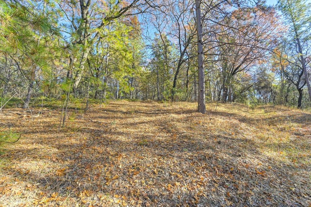 23050 Retherford Road Auburn, CA 95602 - Photo 28 of 39 a view of dirt field with trees
