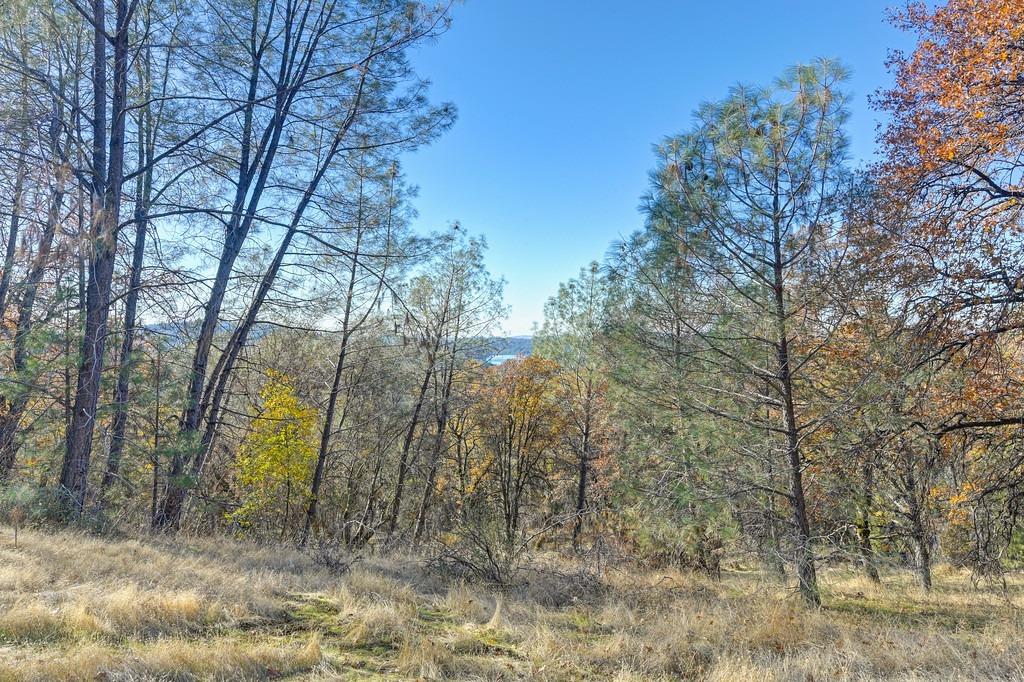 23050 Retherford Road Auburn, CA 95602 - Photo 3 of 39 a backyard of a house with large trees