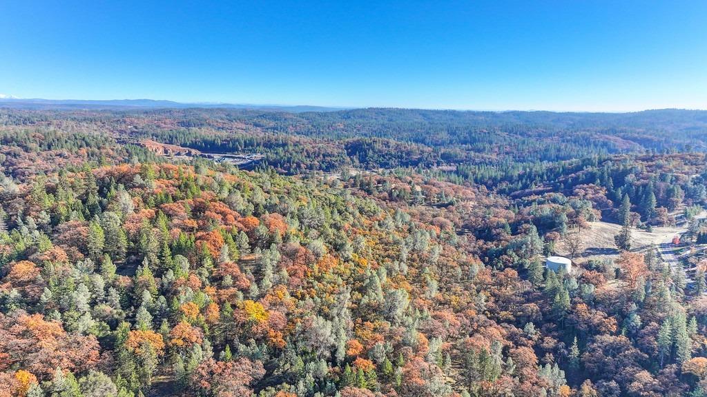 23050 Retherford Road Auburn, CA 95602 - Photo 33 of 39 an aerial view of residential house and green space