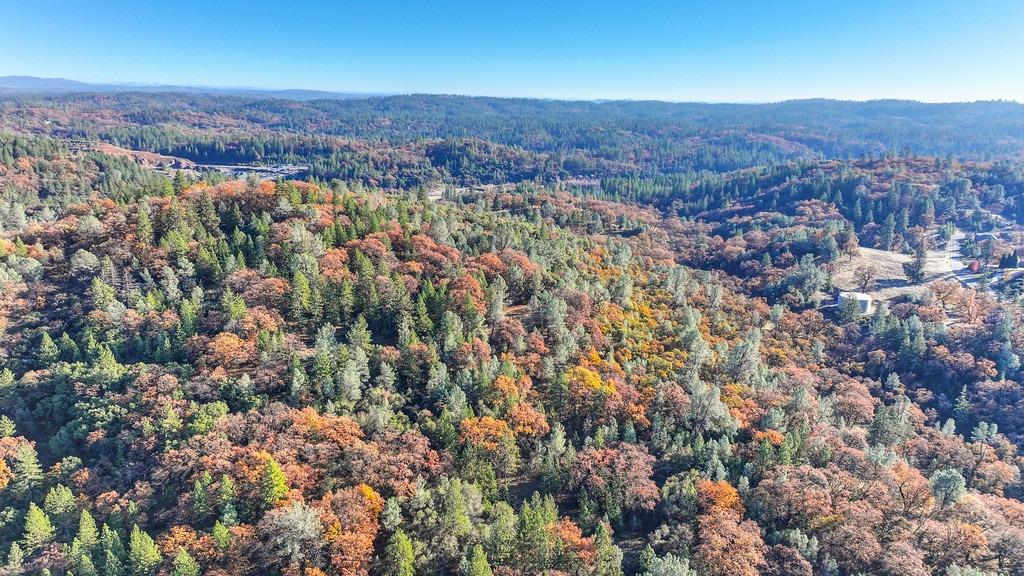 23050 Retherford Road Auburn, CA 95602 - Photo 34 of 39 an aerial view of residential house and green space