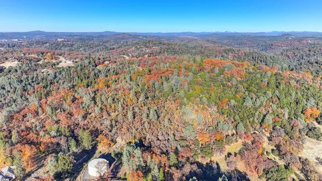 an aerial view of residential houses with outdoor space and trees