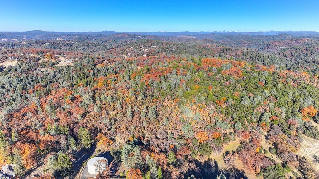 23050 Retherford Road Auburn, CA 95602 - Photo 36 of 39 an aerial view of residential houses with outdoor space and trees