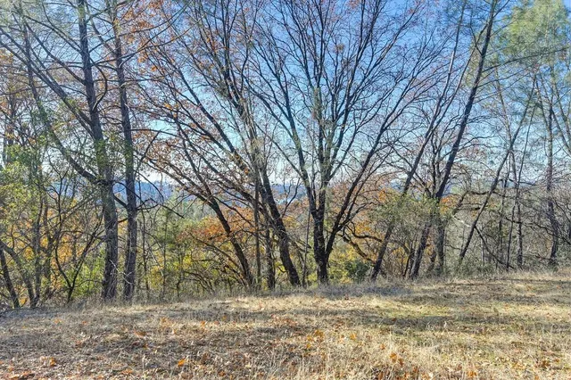 a view of yard covered with snow in front of house