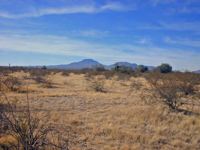 0 North Lopez Road, Unit 47 Stanfield, AZ 85172 - Photo 1 of 1 Primary Photo