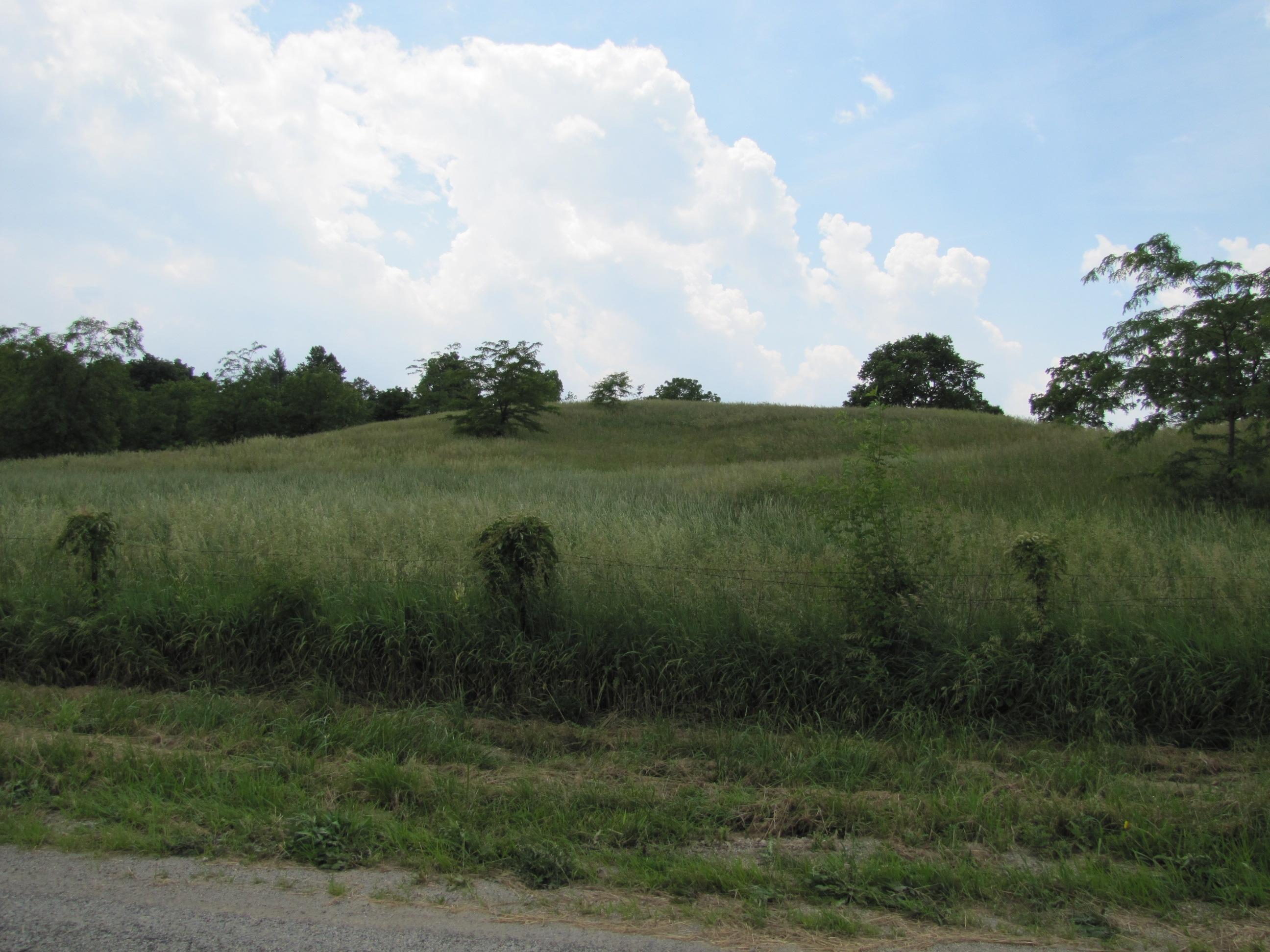 0 Arbuckle Road London, OH 43140 - Photo 3 of 9