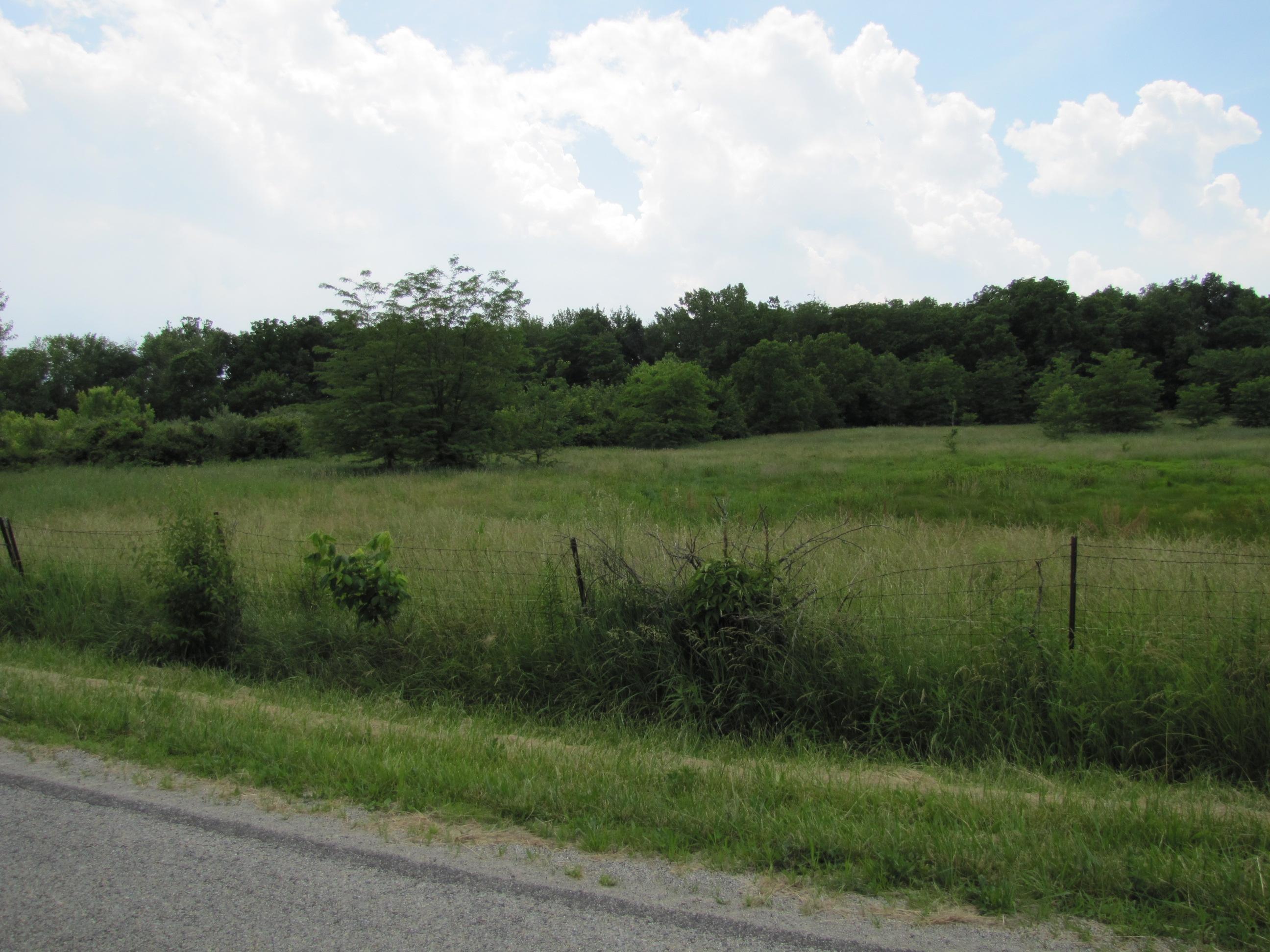 0 Arbuckle Road London, OH 43140 - Photo 4 of 9