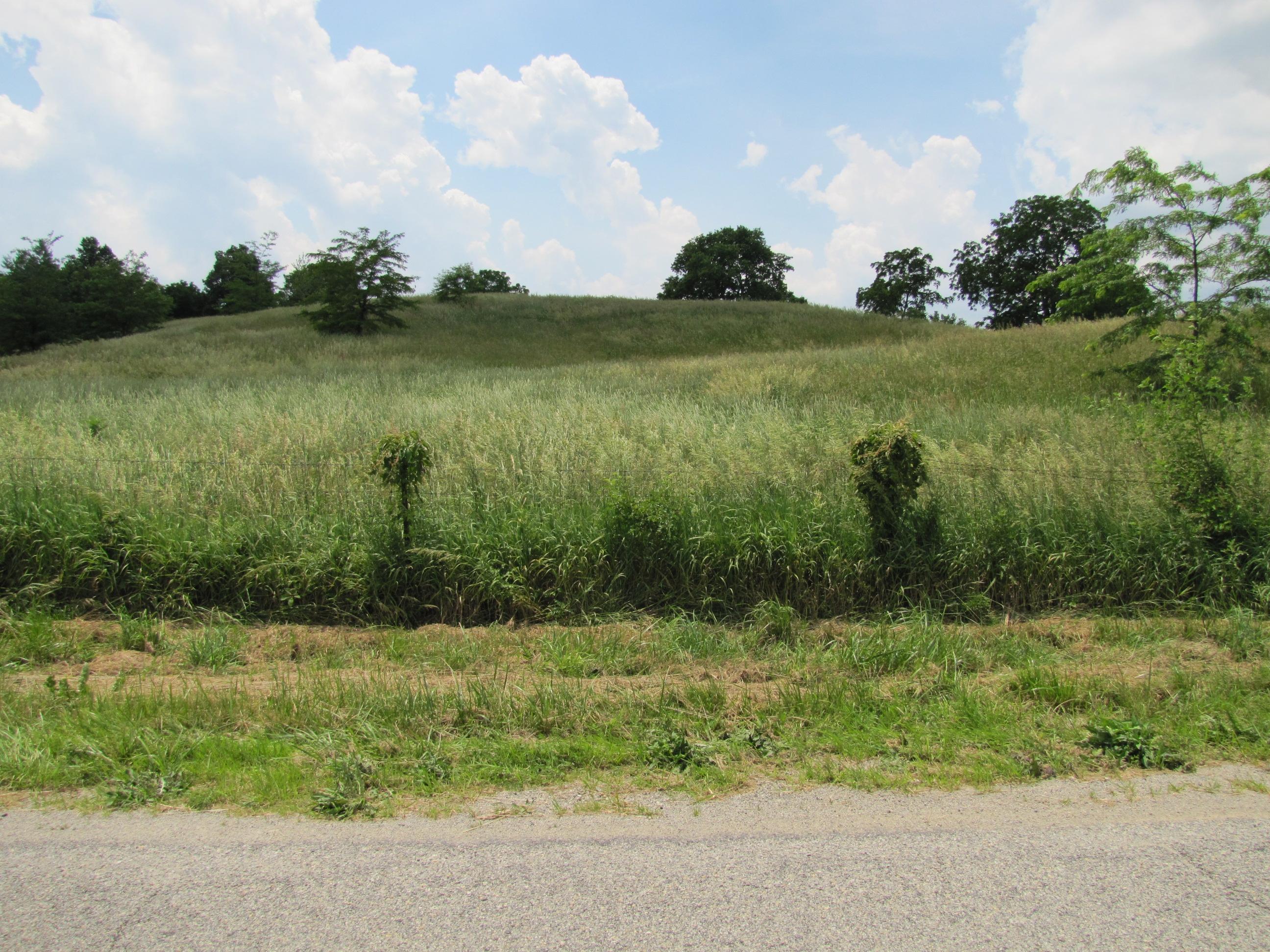 0 Arbuckle Road London, OH 43140 - Photo 6 of 9