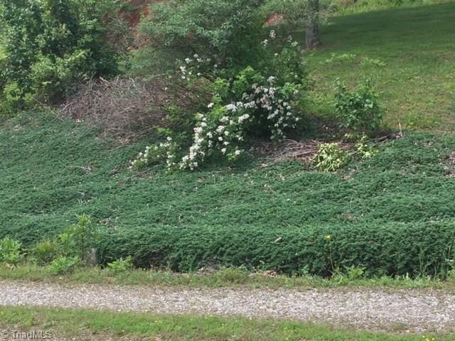 168 Rom Eller Road Purlear, NC 28665 - Photo 11 of 11