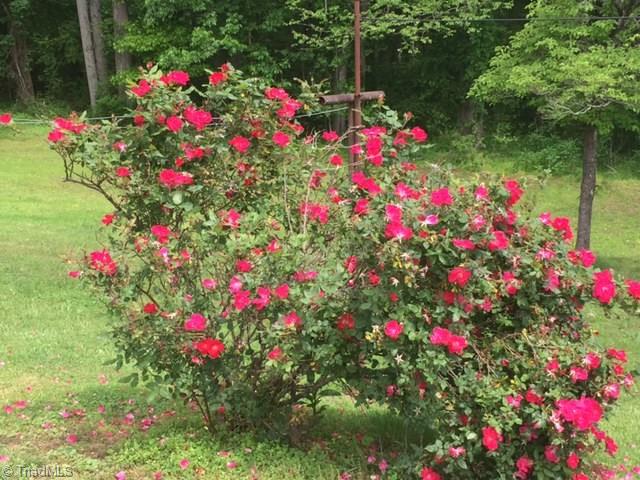 168 Rom Eller Road Purlear, NC 28665 - Photo 10 of 11