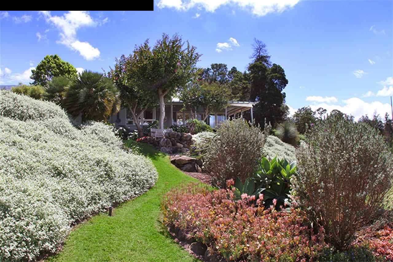 3646 Lower Kula Road Kula, HI 96790 - Photo 4 of 30 Gallery Image 4