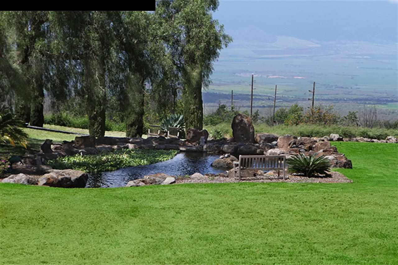 3646 Lower Kula Road Kula, HI 96790 - Photo 5 of 30 Gallery Image 5