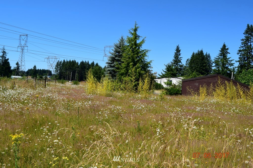 197 Awmiller Road Winlock, WA 98596 - Photo 5 of 13 Gallery Image 5