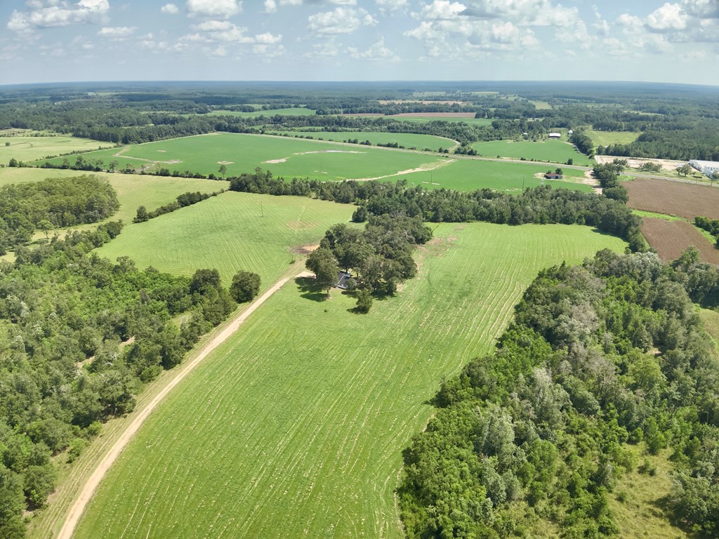 1091 Old Geneva Road Samson, AL 36477 - Photo 5 of 62