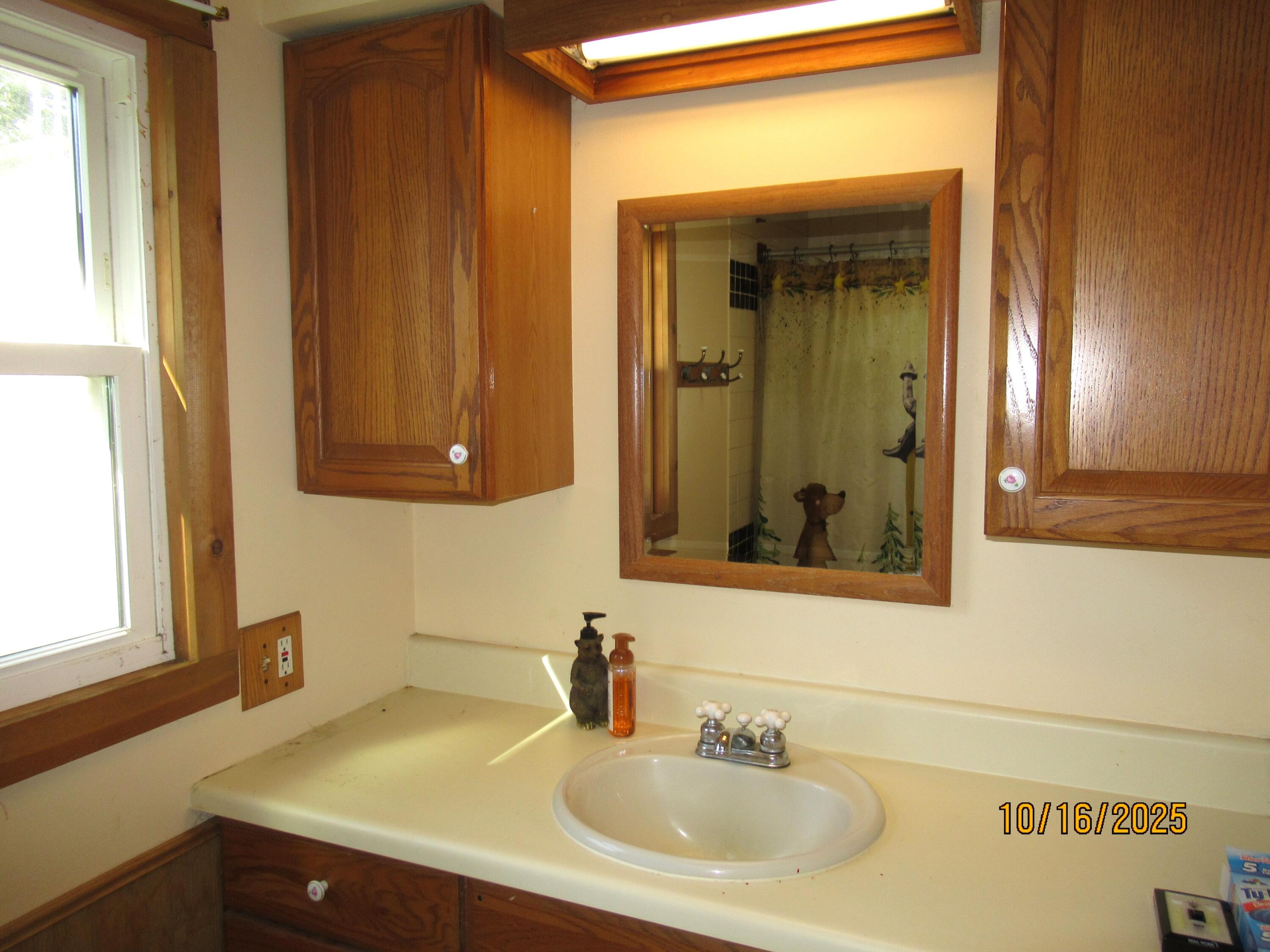 1625 Baker Road Dexter, MI 48130 - Photo 33 of 50 IMG_6714