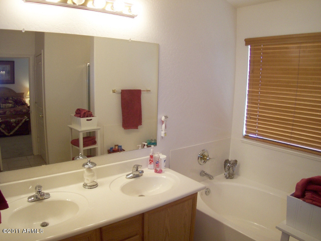 3684 South Martingale Road Gilbert, AZ 85297 - Photo 13 of 21 MASTER BATH