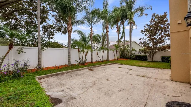 a view of a backyard with palm trees