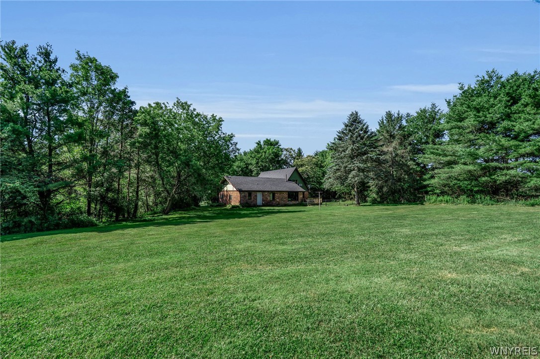 13220 Big Tree Road Wales, NY 14037 - Photo 13 of 45