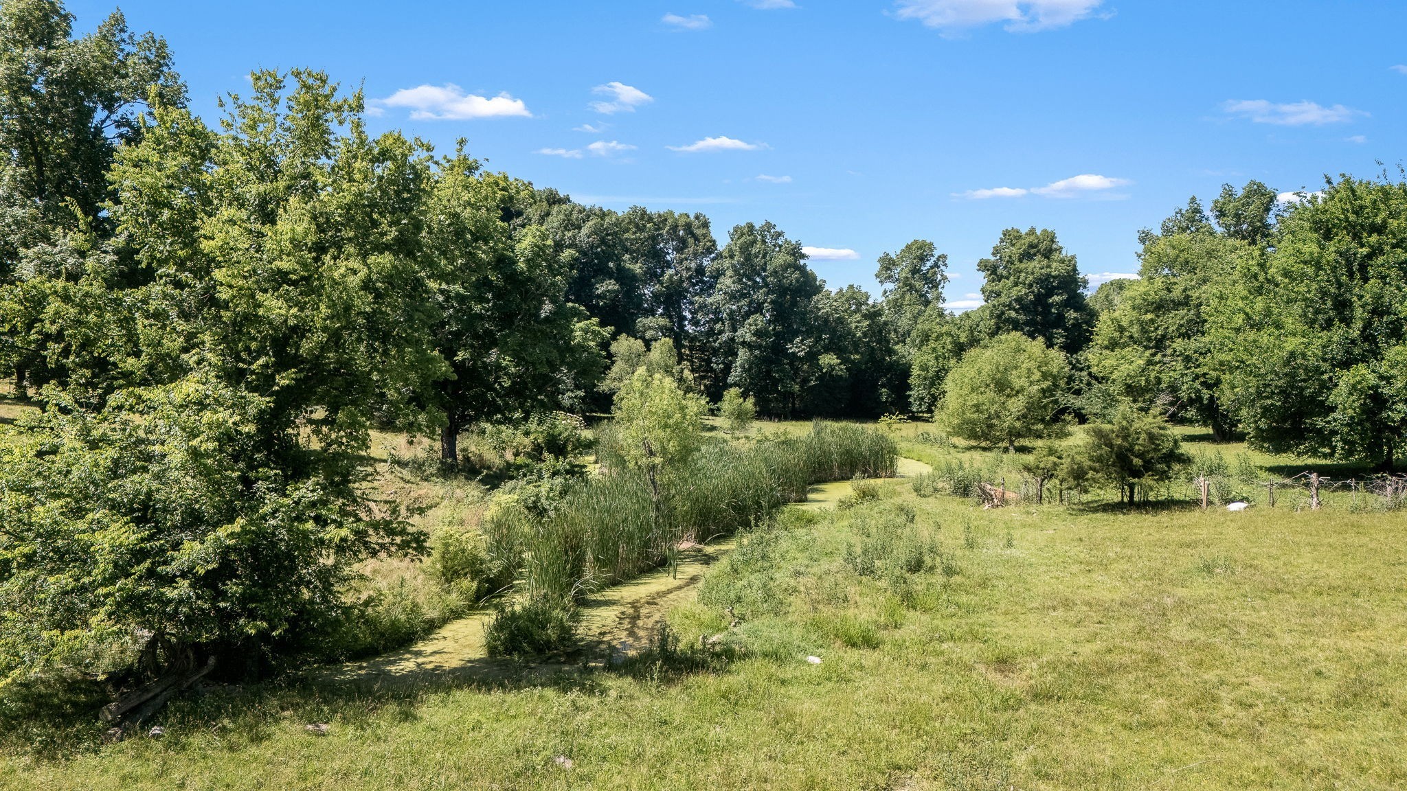 505 Philippi Road Wartrace, TN 37183 - Photo 25 of 79 Gallery Image 25