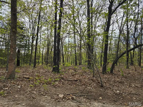 $105,000 | Tract S Greatview Lane, Lebanon, MO 65536