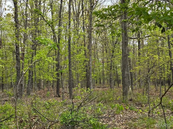 $105,000 | Tract S Greatview Lane, Lebanon, MO 65536