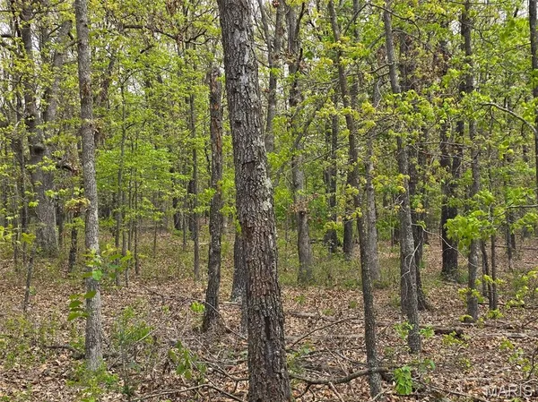 $105,000 | Tract S Greatview Lane, Lebanon, MO 65536