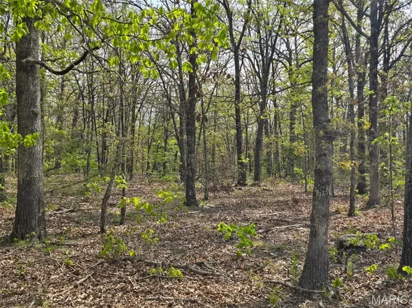 $105,000 | Tract S Greatview Lane, Lebanon, MO 65536