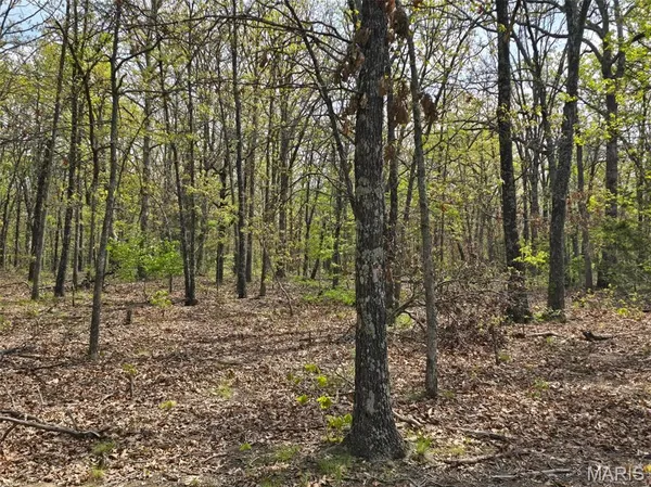 $105,000 | Tract S Greatview Lane, Lebanon, MO 65536