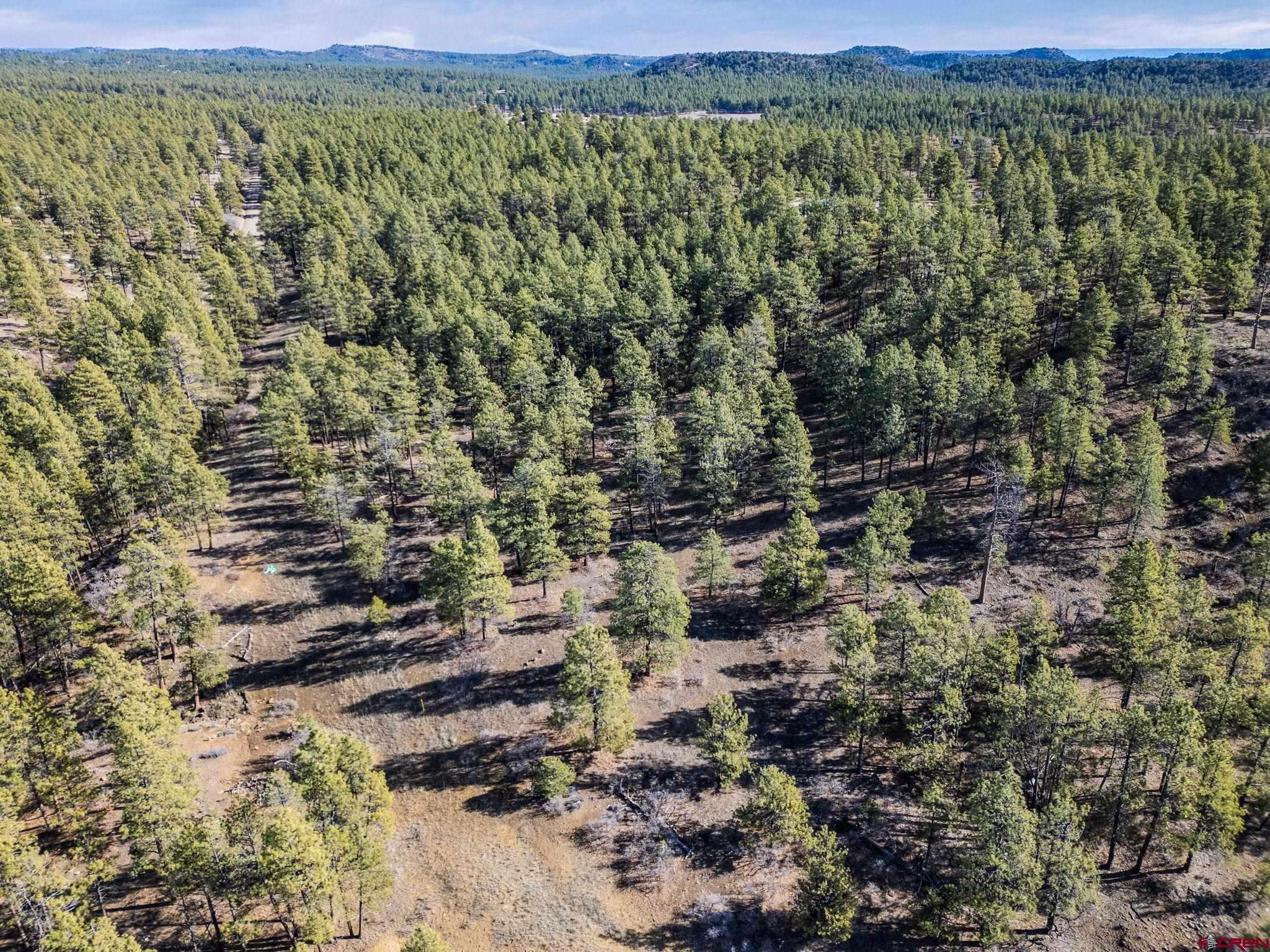 5561 County Road 228 Durango, CO 81301 - Photo 11 of 20 a view of a lush green field with lots of trees in the background