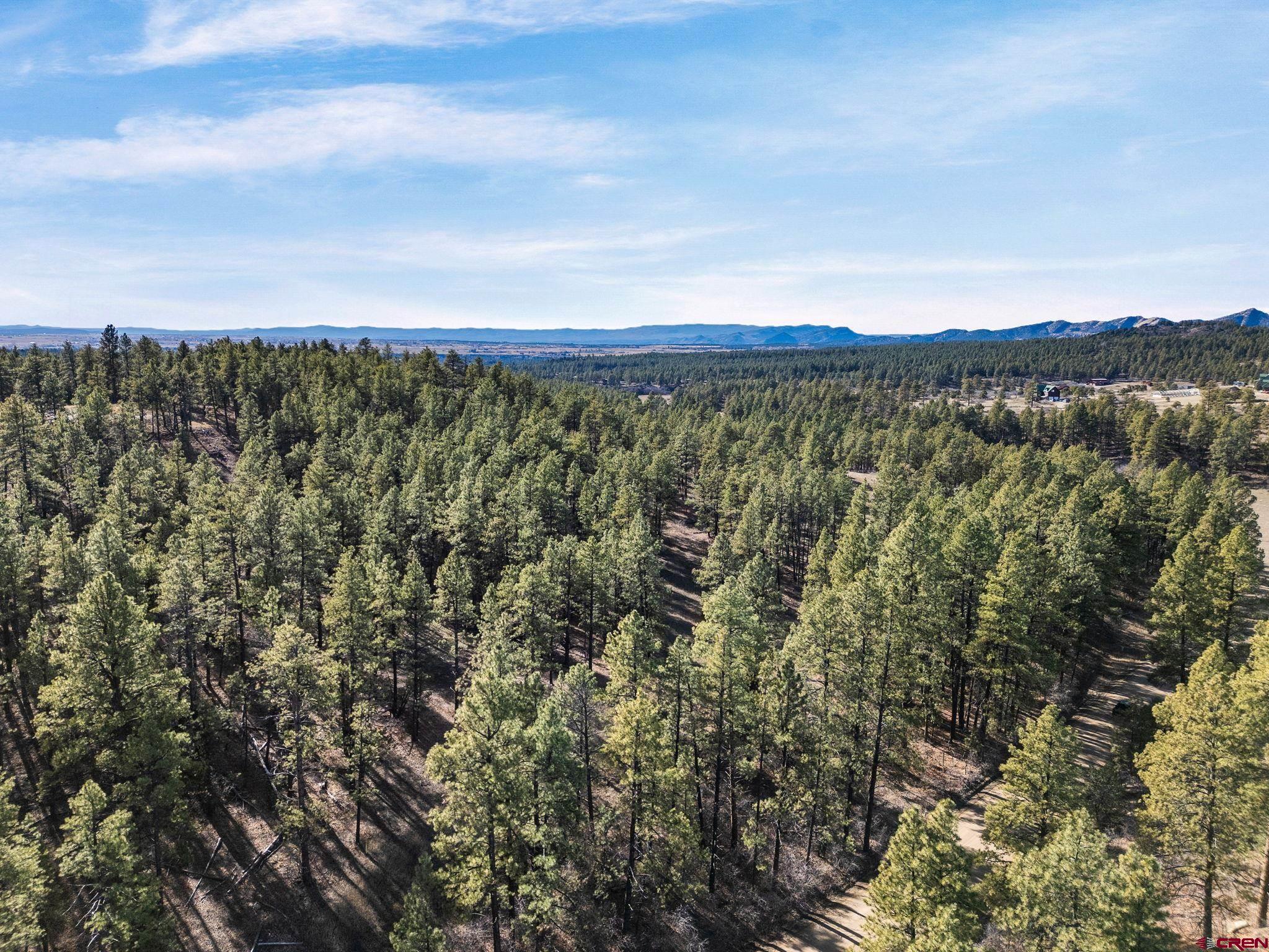 5561 County Road 228 Durango, CO 81301 - Photo 13 of 20 a view of lake and mountain