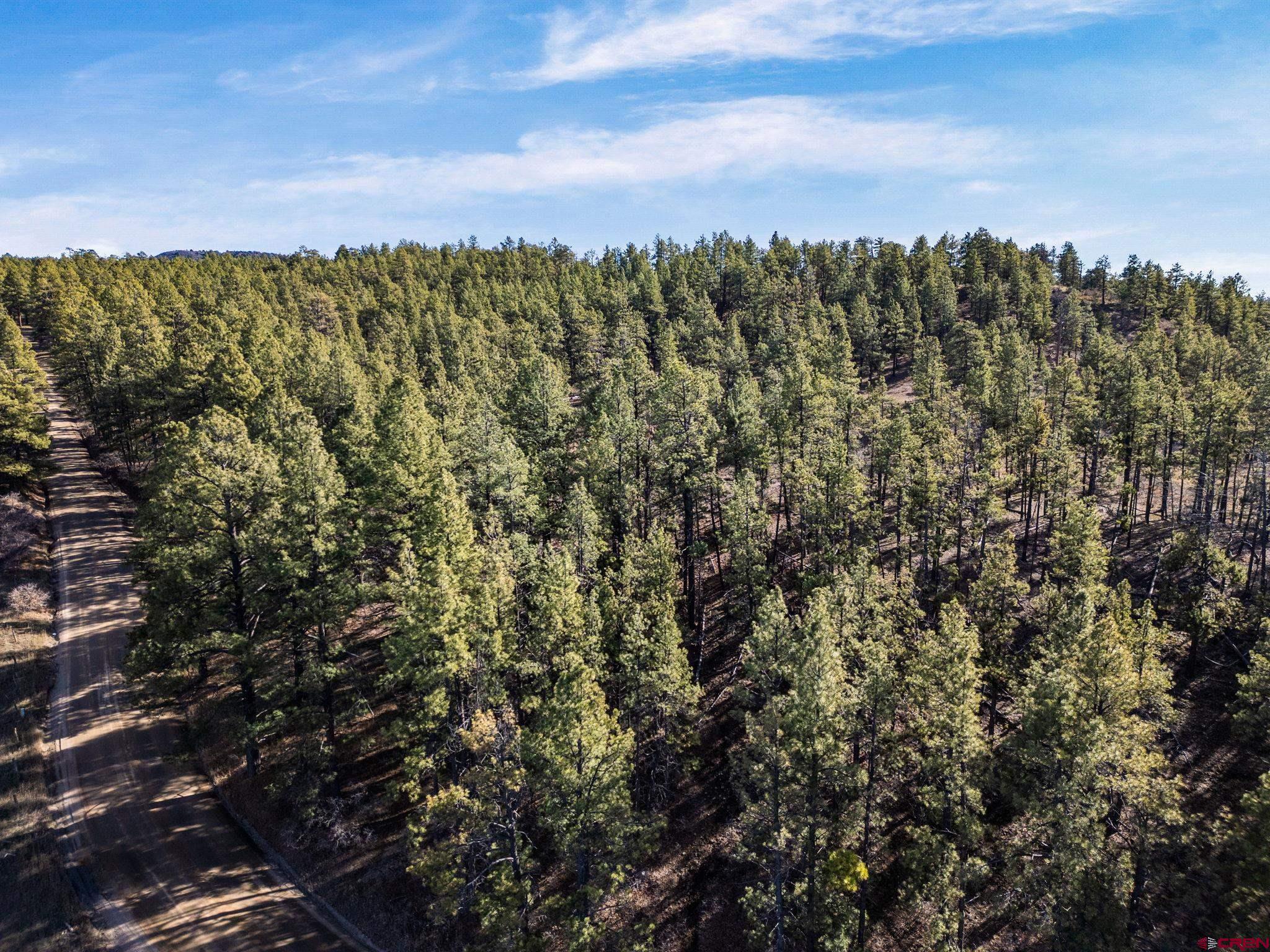5561 County Road 228 Durango, CO 81301 - Photo 14 of 20 a view of a city