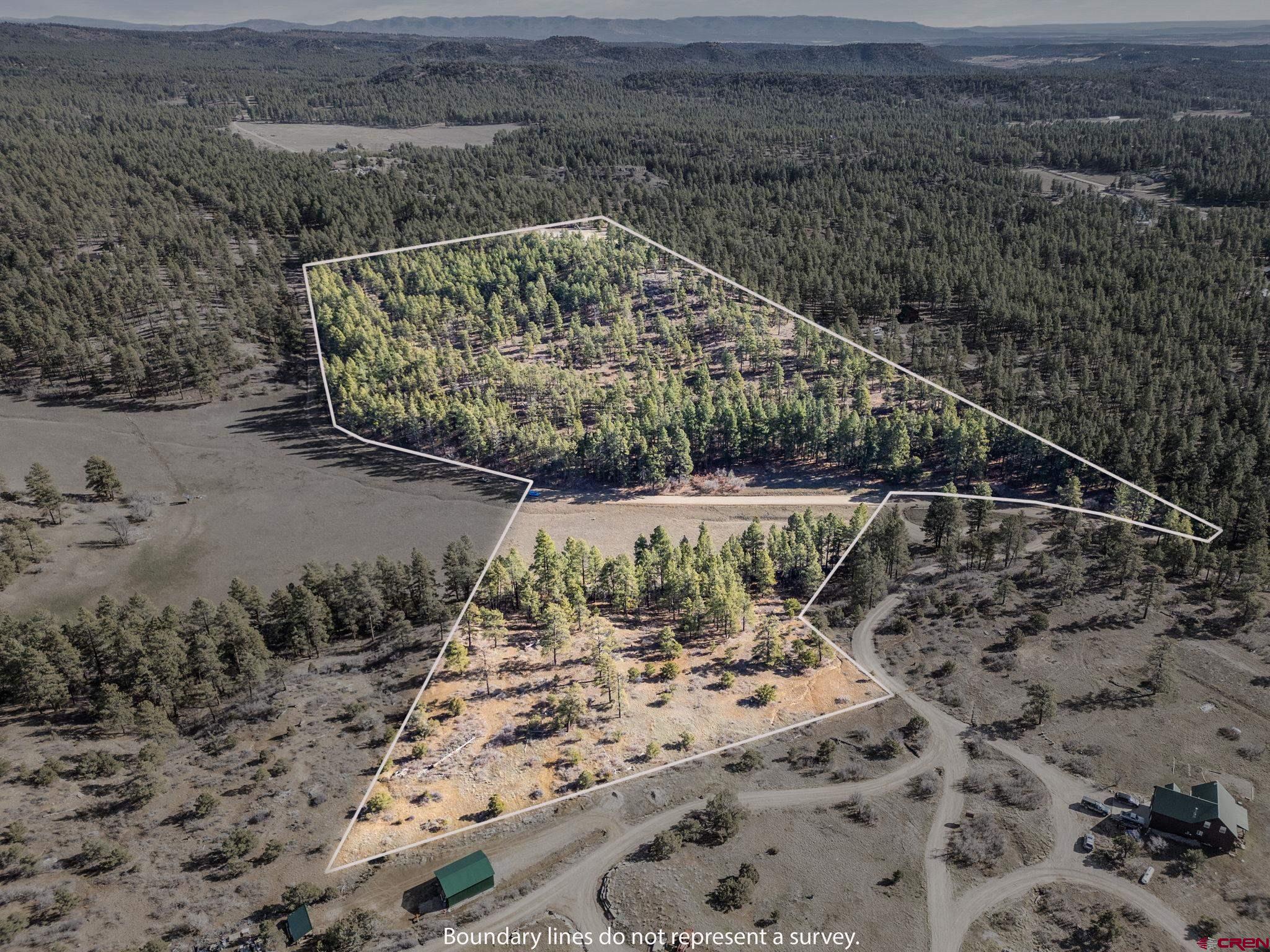 5561 County Road 228 Durango, CO 81301 - Photo 16 of 20 a view of swimming pool with a yard