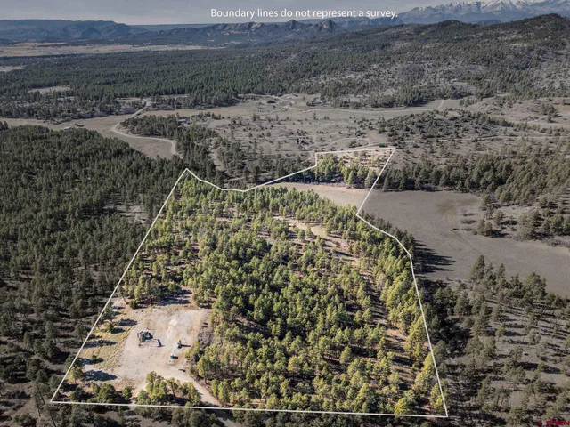 a view of a yard with an outdoor space