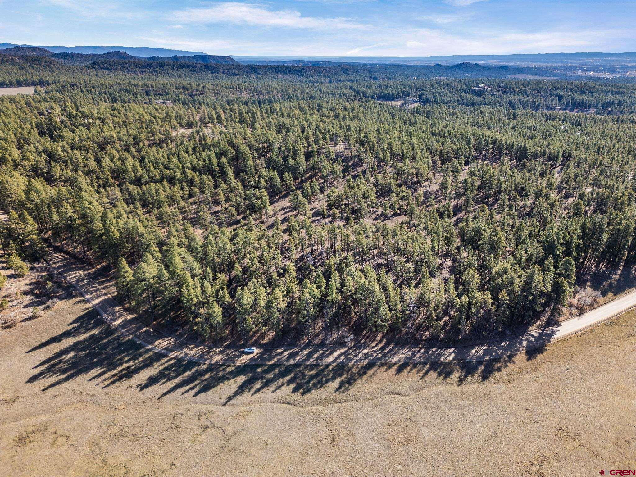 5561 County Road 228 Durango, CO 81301 - Photo 6 of 20 a view of a yard with wooden floor and a forest