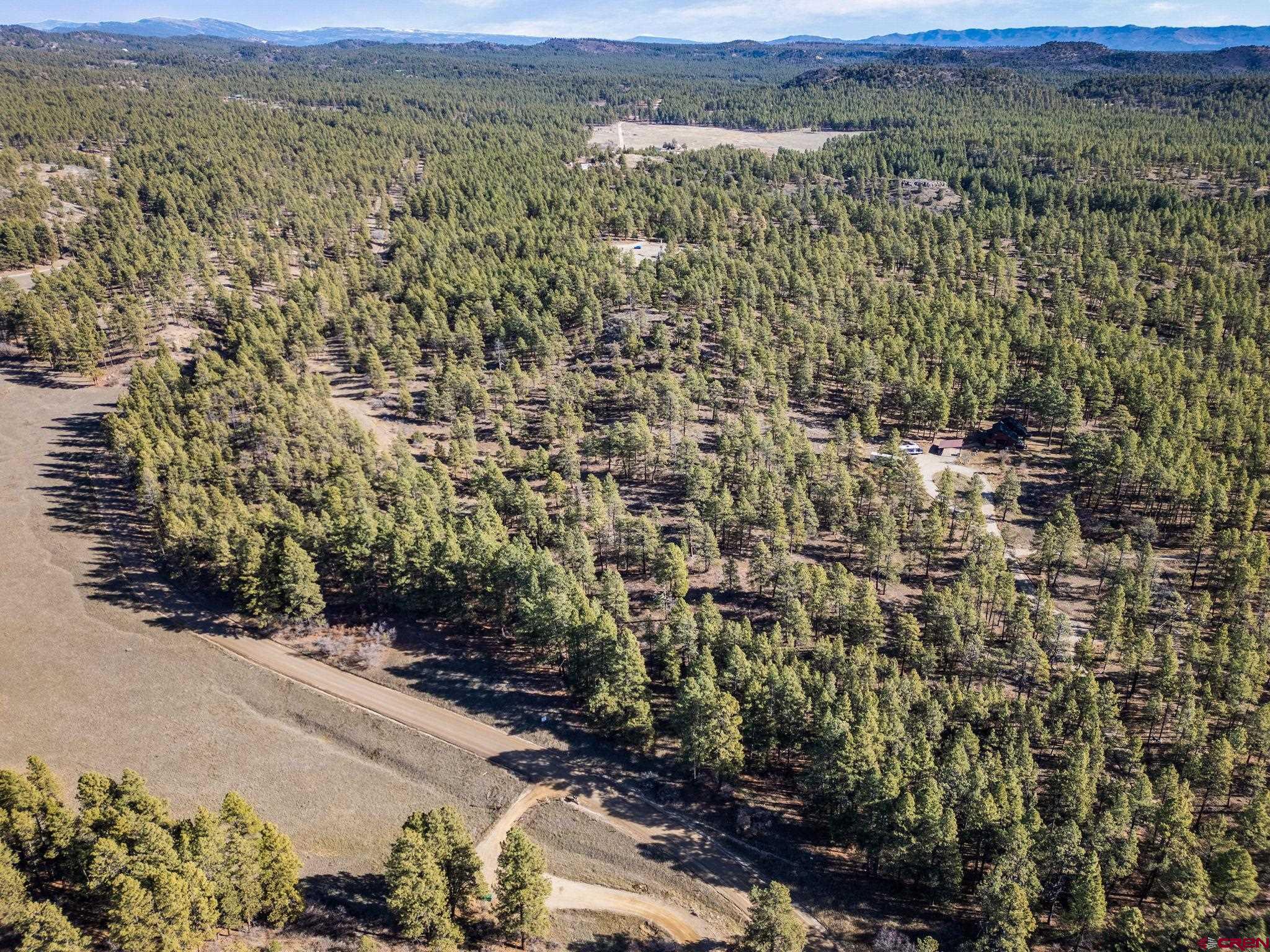 5561 County Road 228 Durango, CO 81301 - Photo 7 of 20 a view of a yard with mountain and car parked side of road