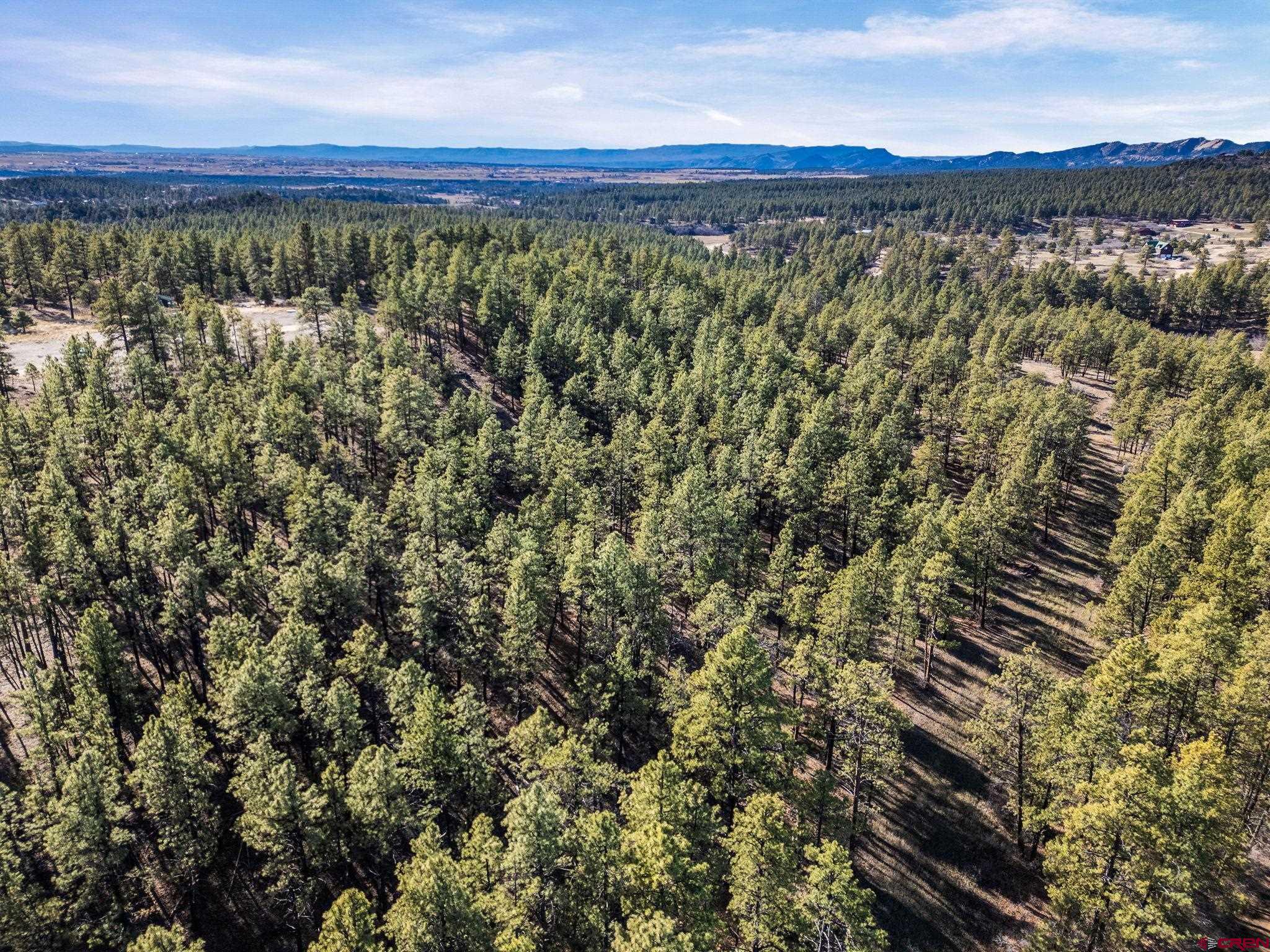 5561 County Road 228 Durango, CO 81301 - Photo 10 of 20 a view of a forest with a lake