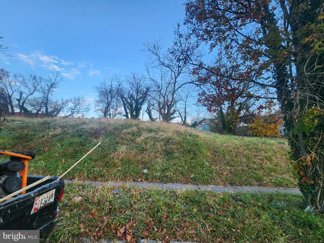 a view of a yard with large trees