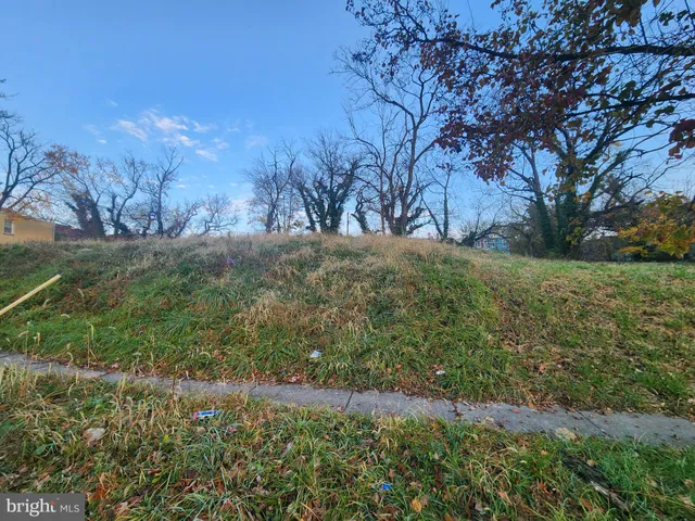 a view of dirt yard with a tree